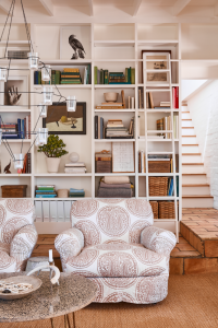 Living Room Library Ladder